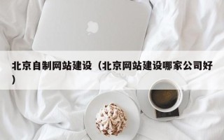 禹城北京自制网站建设（北京网站建设哪家公司好）